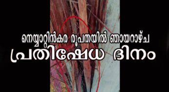 നെയ്യാറ്റിന്‍കര രൂപതയില്‍ ഞായറാഴ്‌ച പ്രതിഷേധ ദിനം