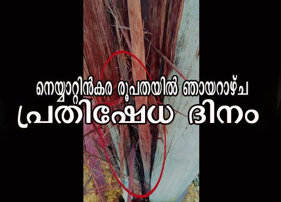 നെയ്യാറ്റിന്‍കര രൂപതയില്‍ ഞായറാഴ്‌ച പ്രതിഷേധ ദിനം