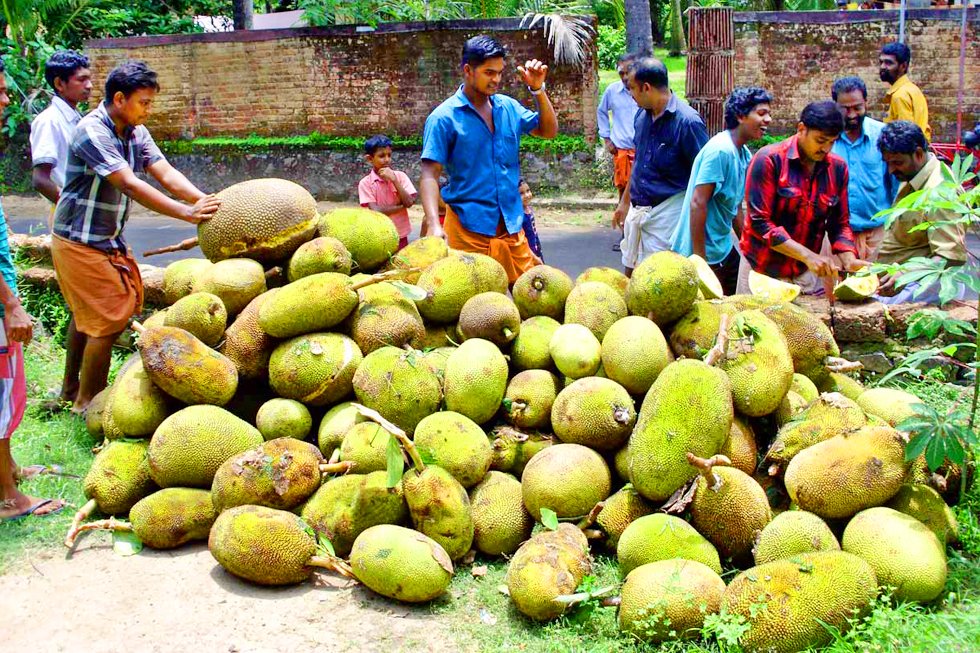 തിരുനാൾ വ്യത്യസ്‌തമാക്കി ചക്ക വിഭവങ്ങളിൽ നേർച്ച