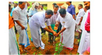 “ഒരു വീട്ടിൽ ഒരു മരം” പദ്ധതിയുമായി കെ.എൽ.സി.എ. ബാലരാമപുരം ഫെറോനാ സമിതി