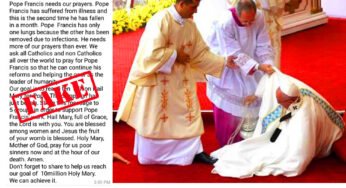 “ഫ്രാൻസിസ് പാപ്പാ , ഒരു മാസം രണ്ടു തവണ വീണു… ” കുപ്രചരണവുമായി വീണ്ടും സോഷ്യൽ മീഡിയ