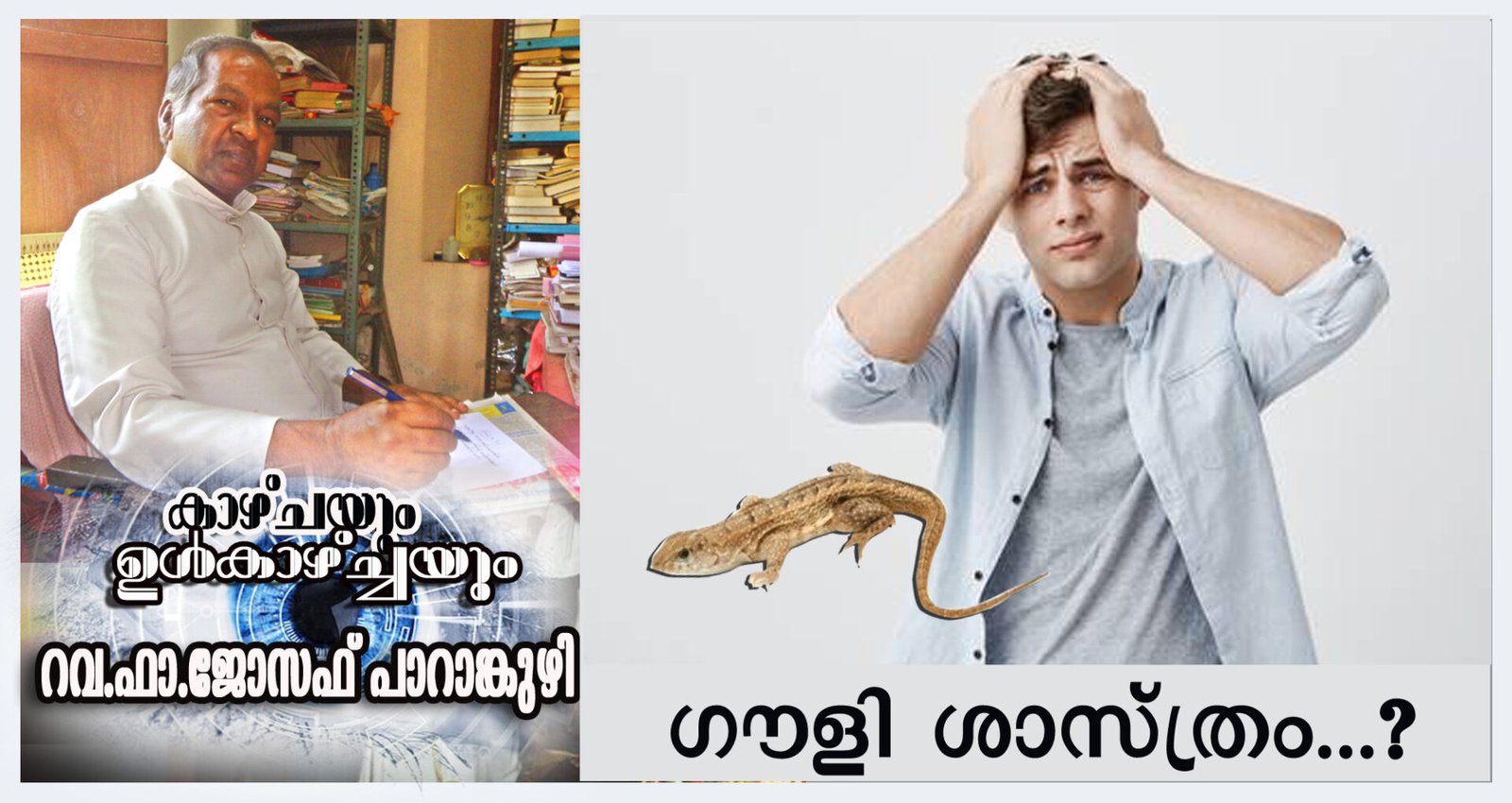 ഗൗളി ശാസ്ത്രം…?