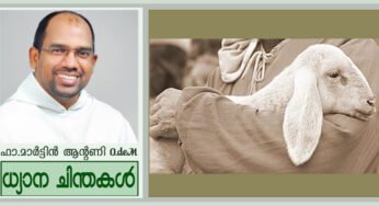 “ഞാൻ നിത്യജീവൻ നൽകുന്നു” (യോഹ 10:27-30)