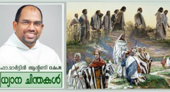 വിളവിന്റെ ലോകം – ലൂക്കാ (10:1-12.17-20)