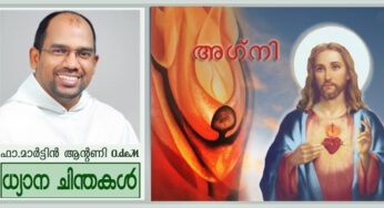 ഭൂമിയിൽ തീയിടാനാണ് ഞാൻ വന്നത് ( ലൂക്കാ 12:49-53)