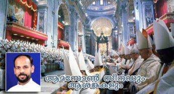 ആമസോൺ സിനഡും ആശങ്കകളും