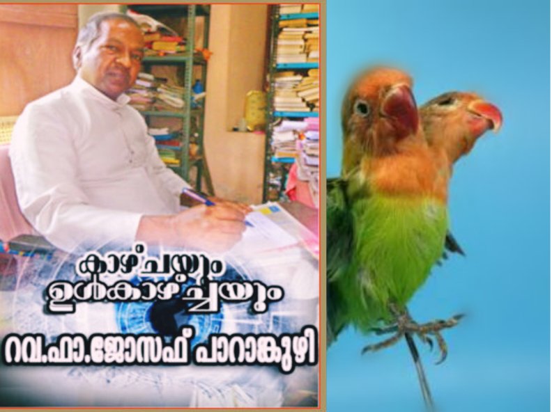 ഇരട്ടത്തലയുള്ള പക്ഷിയും പിന്നെ ഞാനും