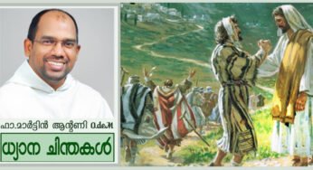 കൃതജ്ഞതയിൽ പൂവിടുന്ന വിശ്വാസം (ലൂക്കാ 17:11-19)