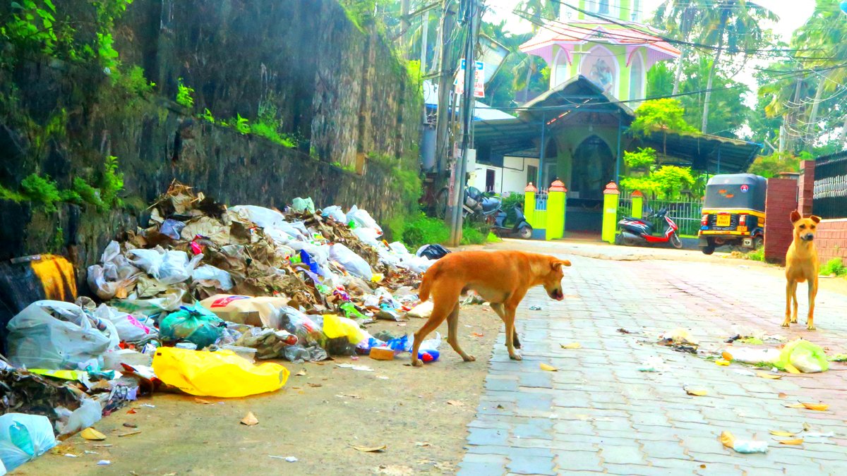 നെയ്യാറ്റിന്‍കര അമലോത്ഭവമാതാ കത്തീഡ്രലിനു മുന്നില്‍ മാലിന്യ കൂമ്പാരം; വിശ്വാസികള്‍ പ്രതിഷേധത്തില്‍