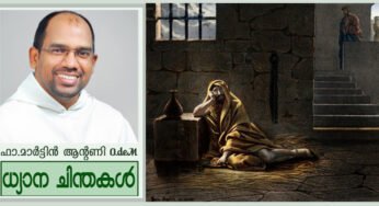 “വരാനിരിക്കുന്നവൻ നീ തന്നെയോ?” (മത്താ11: 2-11)