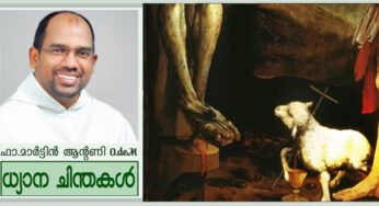 Second Sunday_Ordinary time_Year_A “ദൈവത്തിന്റെ കുഞ്ഞാട്” (യോഹ 1:29-34)