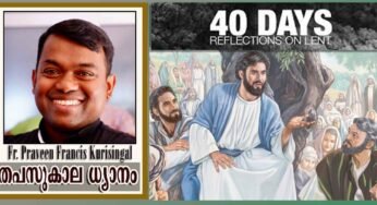 ശത്രുവെന്ന വേലിയും, മിത്രമെന്ന പാലവും