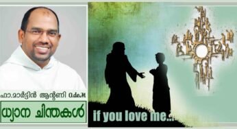 6th Sunday of Easter_Year A_നിങ്ങളെന്നെ സ്നേഹിക്കുന്നുവെങ്കിൽ… (യോഹ 14:15-21)