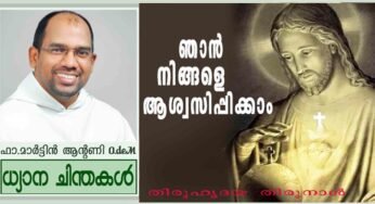 Sacred Heart Sunday_Year A_ഞാൻ നിങ്ങളെ ആശ്വസിപ്പിക്കാം (മത്താ 11:25-30)