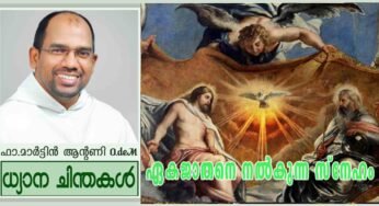 Trinity Sunday_Year A_ഏകജാതനെ നൽകുന്ന സ്നേഹം (യോഹ 3:16-18)