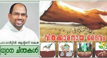 15th Sunday of Ordinary Time_Year A_വിതക്കാരനായ ദൈവം (മത്താ 13:1-23)