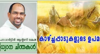 16th Sunday Of Ordinary Time_Year A_കാഴ്ച്ചപ്പാടുകളുടെ ഉപമ (മത്താ 13:23-43)