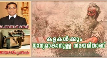16th Sunday Of Ordinary Time_Year A_കളകൾക്കും ധാന്യമാകാനുള്ള സമയമിതാണ്