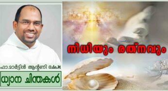 17th Sunday of Ordinary Time_Year A_നിധിയും രത്നവും (മത്താ 13:44-52)