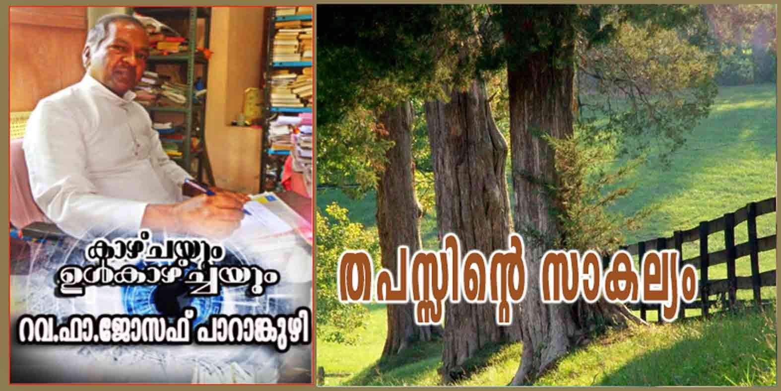 തപസ്സിന്റെ സാകല്യം