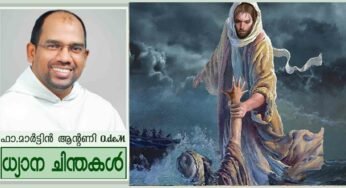 19th Sunday_Ordinary time_Year A_കർത്താവേ, രക്ഷിക്കണേ” (മത്താ 14:22-33)