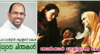 20th Sunday_Ordinary time_Year A_തോൽക്കാൻ മനസ്സില്ലാത്ത ഒരമ്മ (മത്താ 15:21-28)