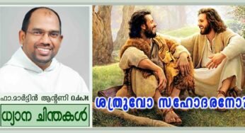 23rd Sunday_Ordinary Time_Year A_ശത്രുവോ സഹോദരനോ? ( മത്താ 18:15-20)