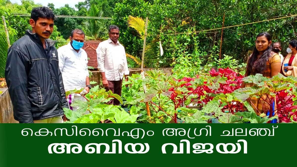 കെസിവൈഎം അഗ്രി ചലഞ്ച് പാറശാല ഫൊറോനയിലെ അബിയ വിജയി