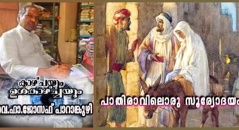 പാതിരാവിലൊരു സൂര്യോദയം