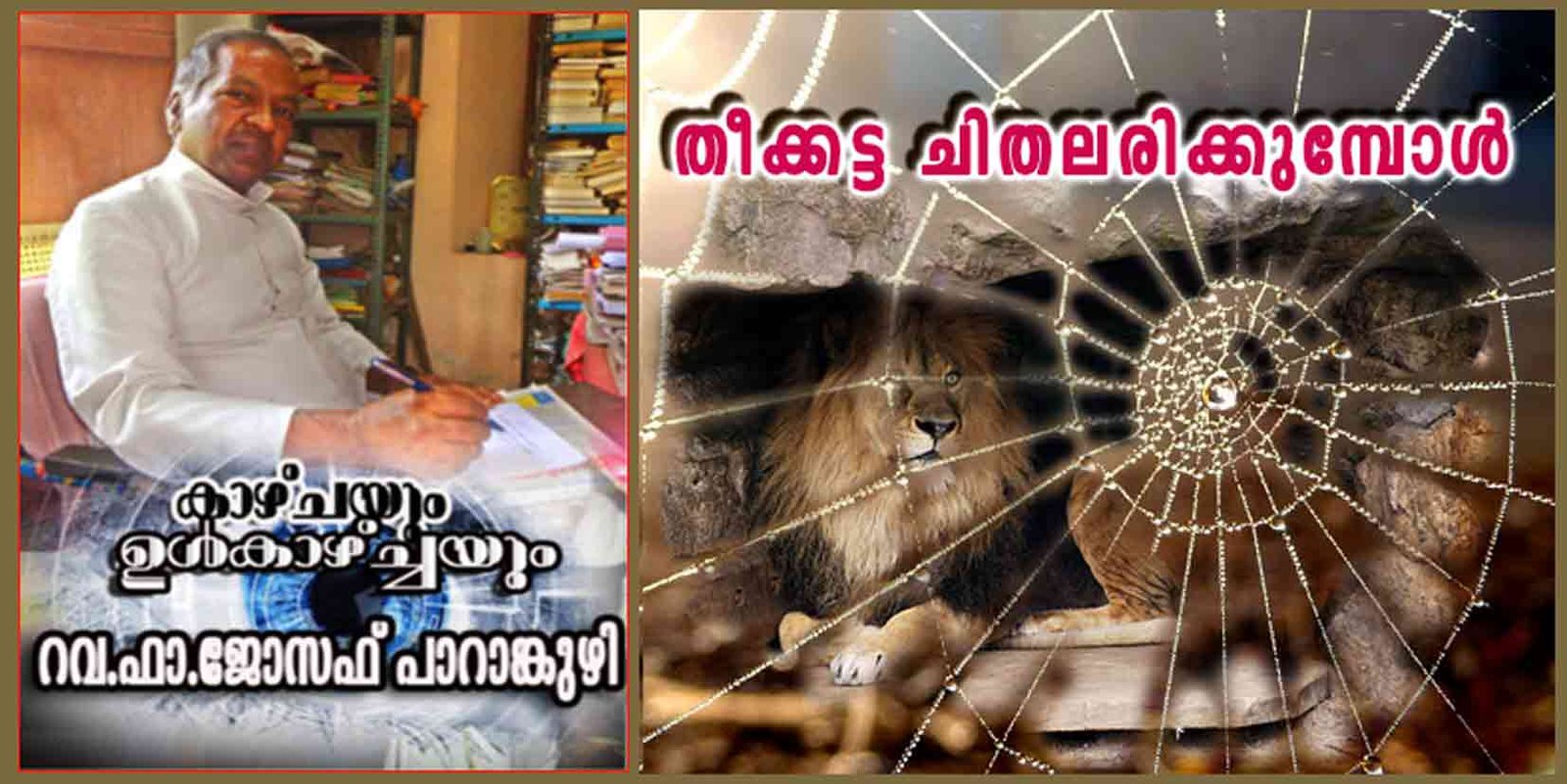 തീക്കട്ട ചിതലരിക്കുമ്പോൾ…