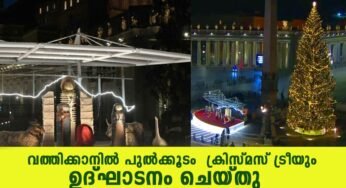 വത്തിക്കാനില്‍ പുല്‍ക്കൂടൊരുങ്ങി… കൂറ്റന്‍ ക്രിസ്മസ് ട്രീയില്‍ ദീപങ്ങള്‍ തെളിഞ്ഞു.