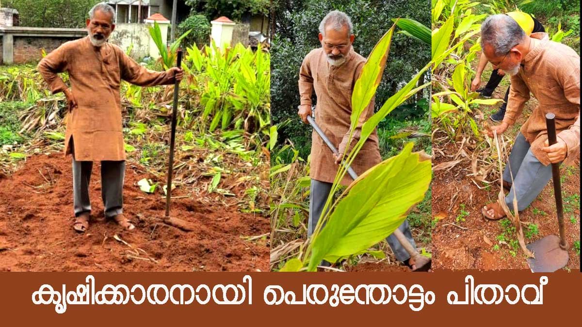 തൂമ്പയെടുത്ത്… വിളവെടുത്ത്… പെരുന്തോട്ടം പിതാവ്