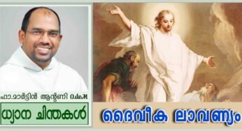 2nd Sunday of Lent_Year B_ദൈവീക ലാവണ്യം (മർക്കോ 9:2-10)
