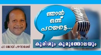 കുരിശും കുരുത്തോലയും