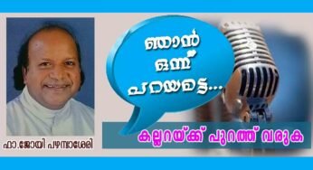 കല്ലറയ്ക്ക് പുറത്ത് വരുക