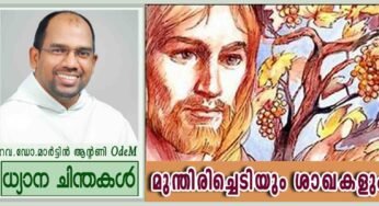 5th Sunday of Easter_Year B_മുന്തിരിച്ചെടിയും ശാഖകളും (യോഹ. 15:1-8)