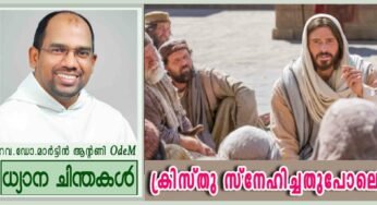 6th Sunday of Easter_Year B_ക്രിസ്തു സ്നേഹിച്ചതുപോലെ… (യോഹ.15:9-17)