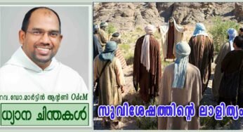 15th Ordinary Sunday_Year B_സുവിശേഷത്തിന്റെ ലാളിത്യം (മർക്കോ 6: 7-13)