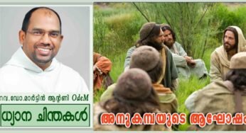 16th Sunday Ordinary_Year B_അനുകമ്പയുടെ ആഘോഷം (മർക്കോ 6:30-34)
