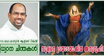 “സൂര്യനെ ഉടയാടയാക്കിയ അനുഗൃഹീത” (ലൂക്കാ 1:39-56)
