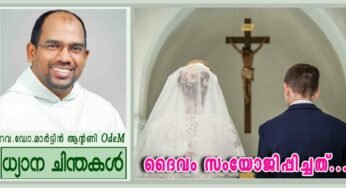 27th Sunday_Year B_”ദൈവം സംയോജിപ്പിച്ചത്…” (മർക്കോ 10:2-16)