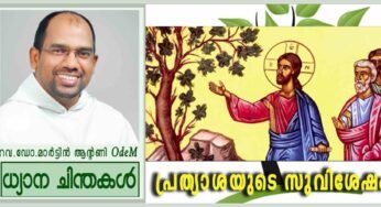 33rd Sunday_Year B_പ്രത്യാശയുടെ സുവിശേഷം (മർക്കോ 13:24-32)