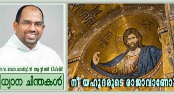 Feast of Christ the King_Year B_നീ യഹൂദരുടെ രാജാവാണോ?