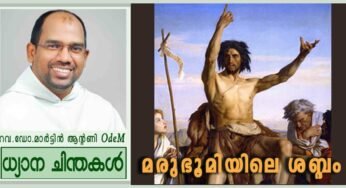 Advent 2nd Sunday_Year C_മരുഭൂമിയിലെ ശബ്ദം (ലൂക്കാ 3:1-6)