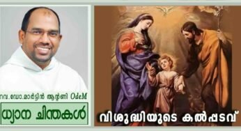 Holy Family Sunday_Year C_വിശുദ്ധിയുടെ കൽപ്പടവ് (ലൂക്കാ 2: 41-52)