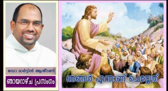 ആഗമനകാലം മൂന്നാം ഞായർ വിചിന്തനം:- “ഞങ്ങൾ എന്താണ് ചെയ്യേണ്ടത്?” (ലൂക്കാ 3:10 -18)