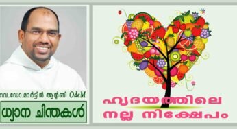ഹൃദയത്തിലെ നല്ല നിക്ഷേപം (ലൂക്കാ 6 : 39 – 45)