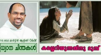  5th Sunday of Lent_Year C_കല്ലെറിയുന്നതിനു മുമ്പ് (യോഹ 8:1-11)