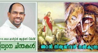 “ഞാൻ നിത്യജീവൻ നൽകുന്നു” (യോഹ 10:27-30)