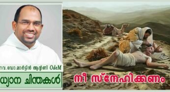 “നീ സ്നേഹിക്കണം” (ലൂക്കാ 10:25-37)